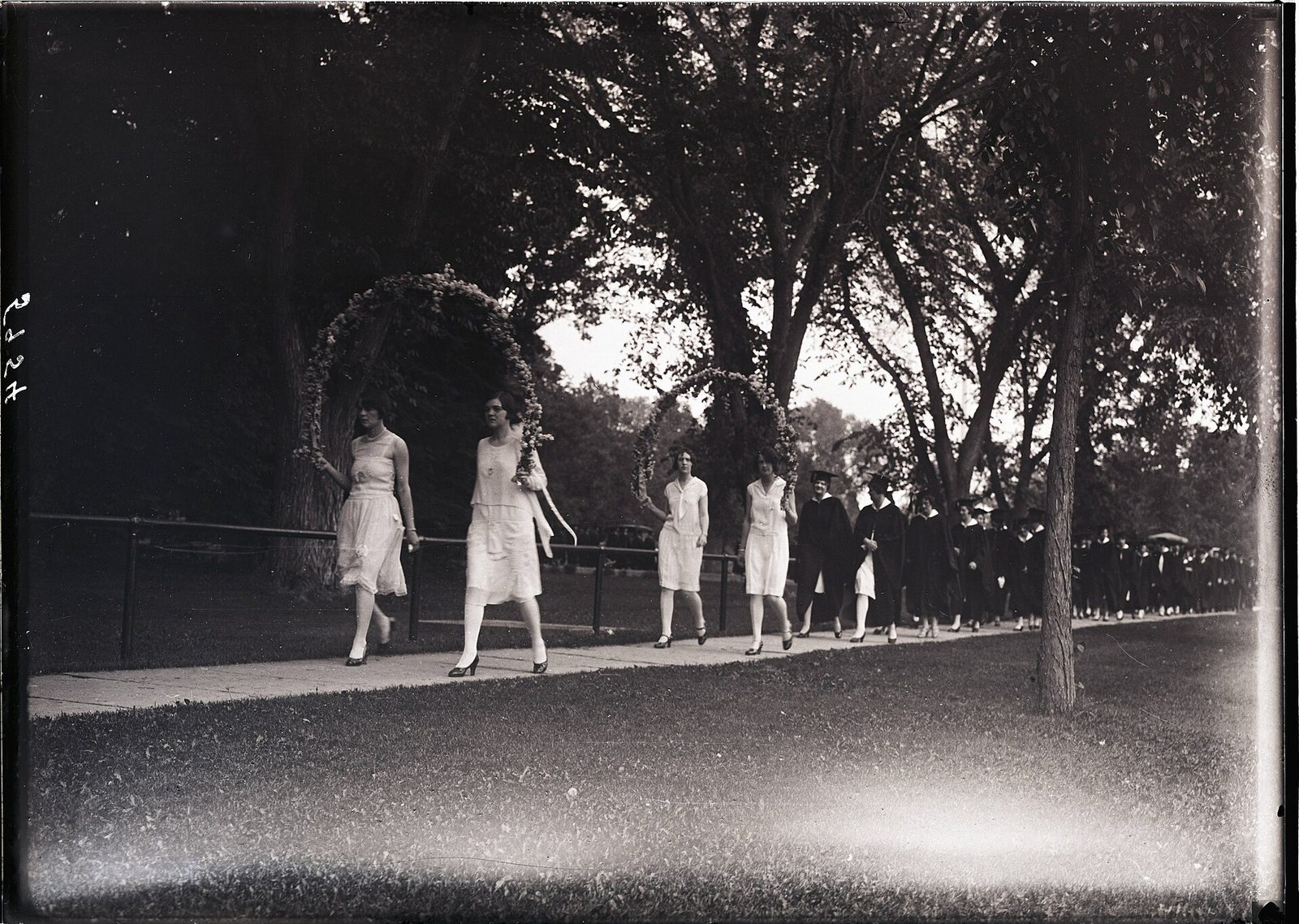 University graduation procession of graduates carrying ivy arches.