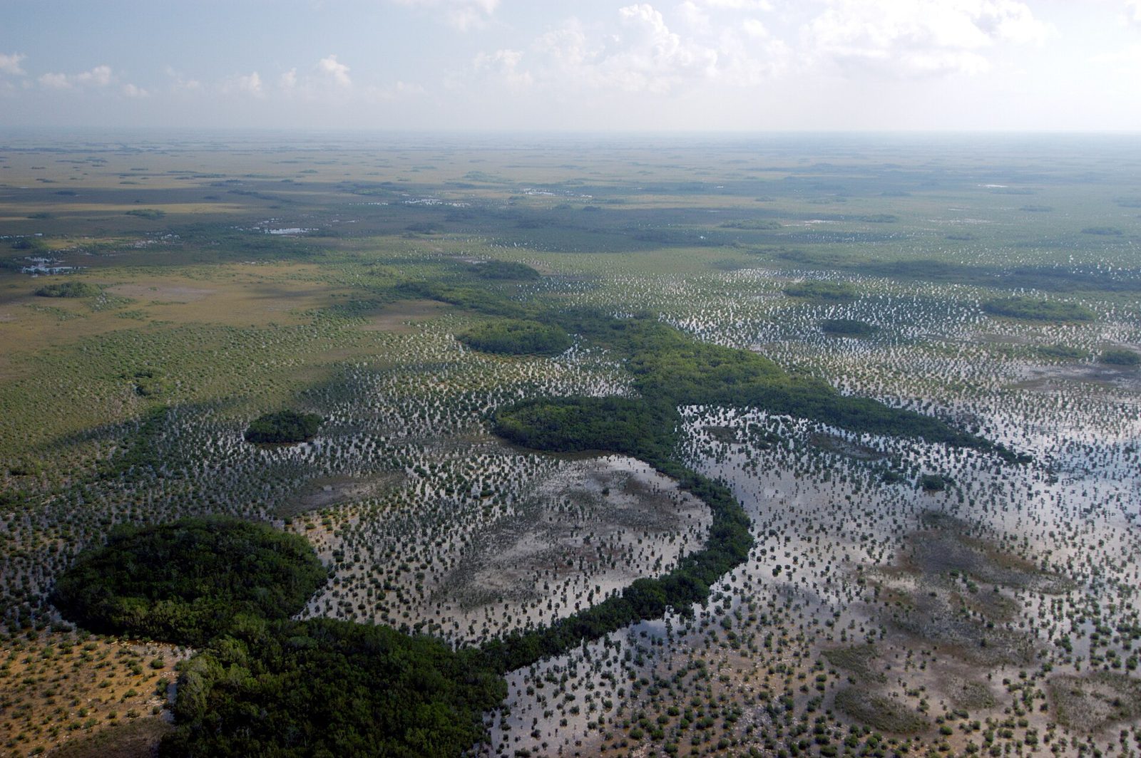 Aerial view of the Florida Everglades showing a vast expanse of sawgrass marsh transitioning to coastal wetland habitat.