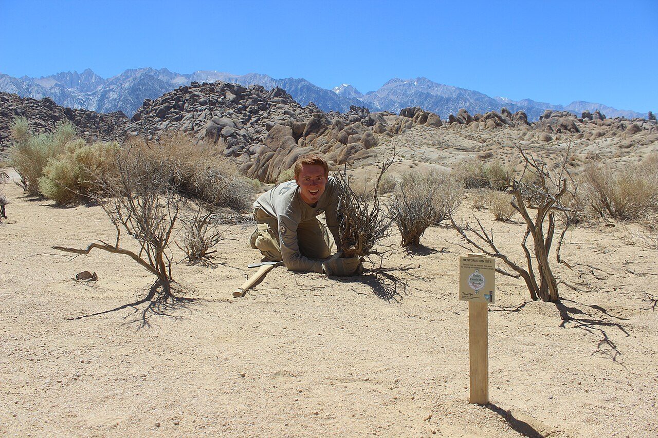 AmeriCorps NCCC corps members performing outdoor service work with the Bureau of Land Management.