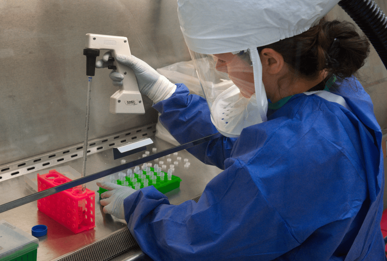 A CDC scientist in protective equipment uses a pipette to transfer virus samples into vials inside a biosafety cabinet.