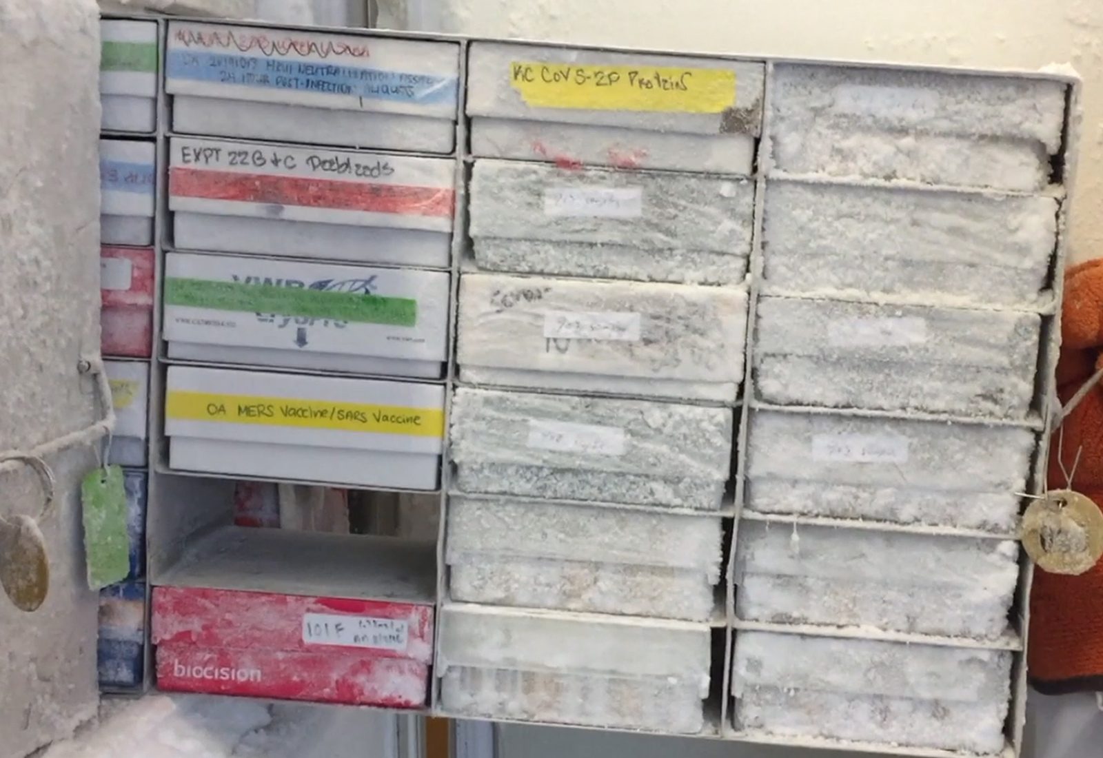 COVID-19 vaccine vials stored in a freezer at the NIAID laboratory