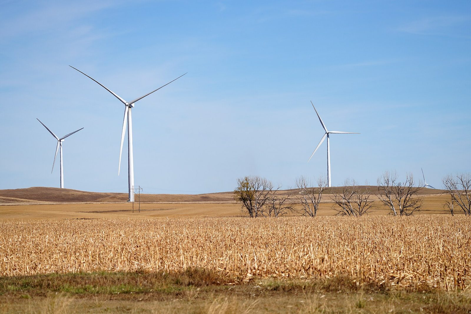 Wind turbines standing in an open field in North Dakota.