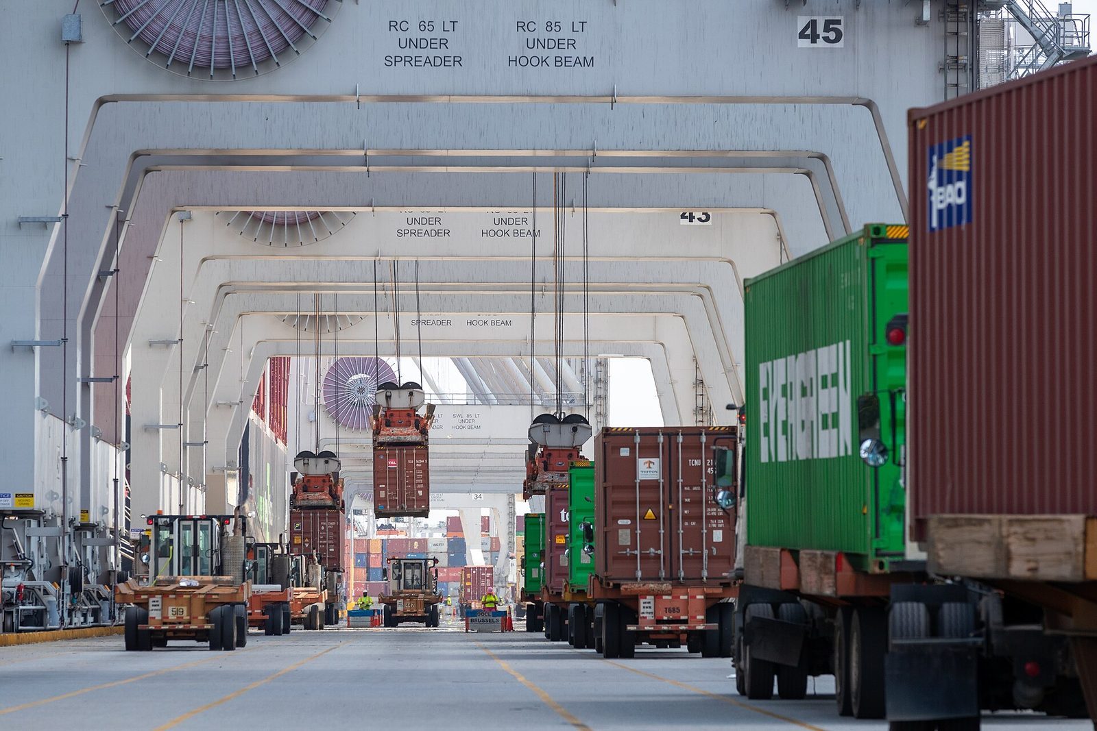 Quay cranes lift shipping containers onto trucks at a US container port terminal.